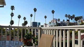 Cap Rec Balcony palm view
